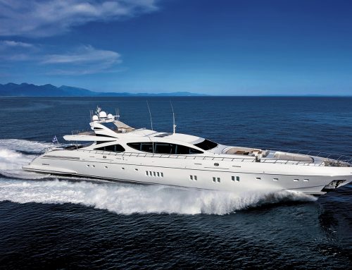 Mangusta 165