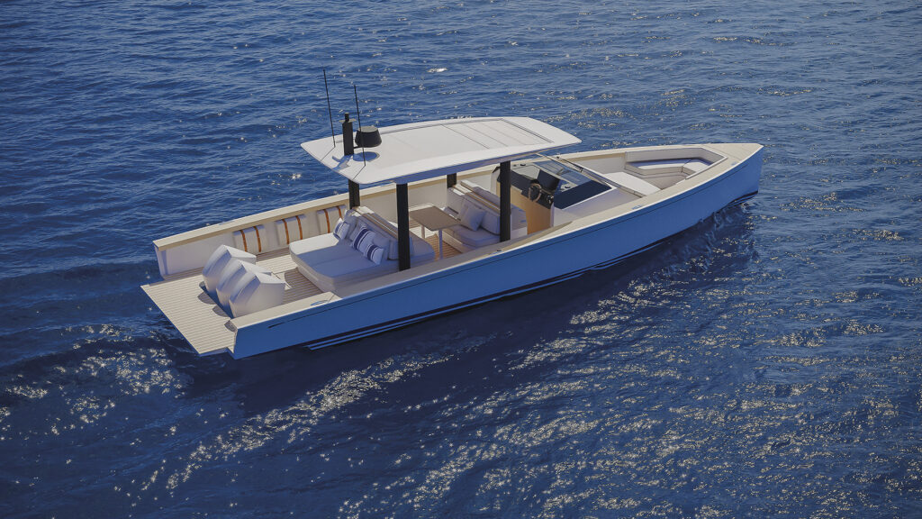 Swan_Shadow