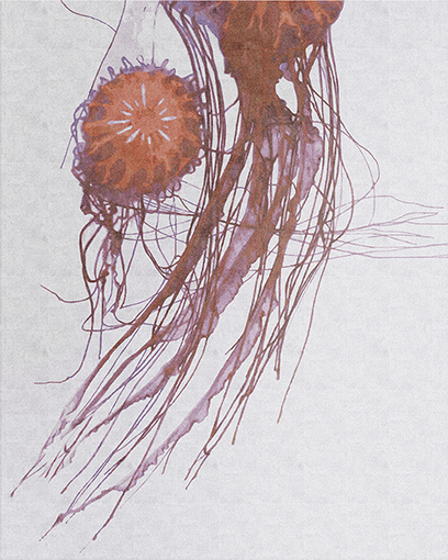 4. Light Jellyfish carpet